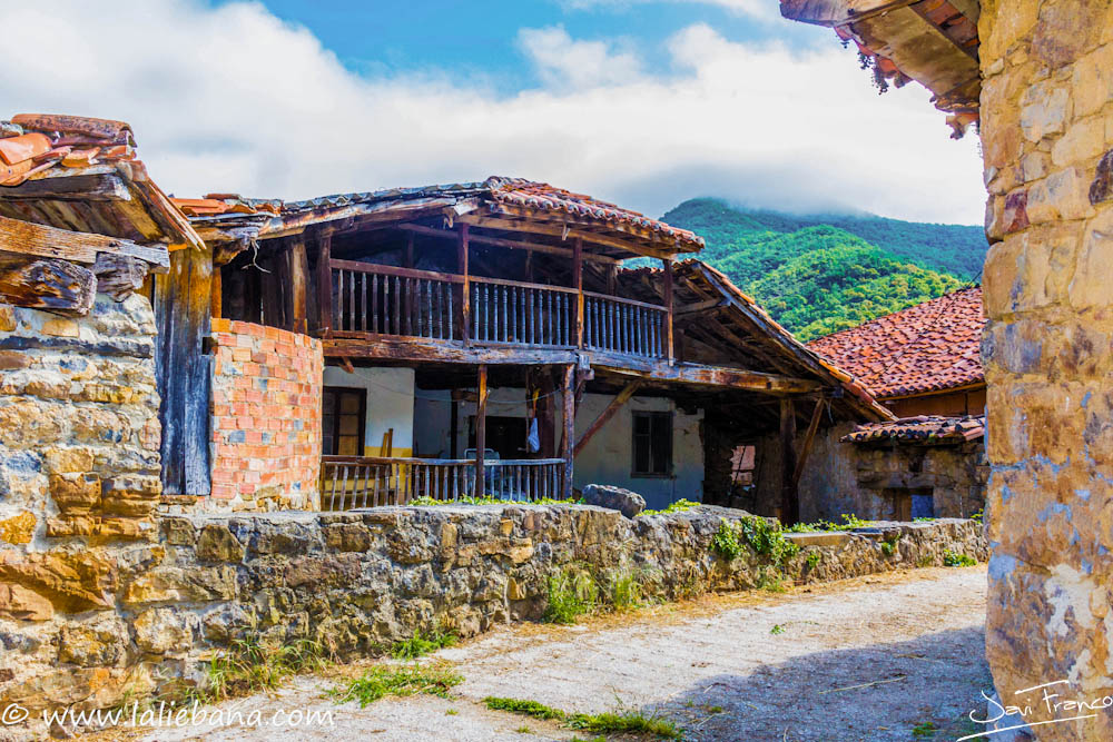 PERROZO
