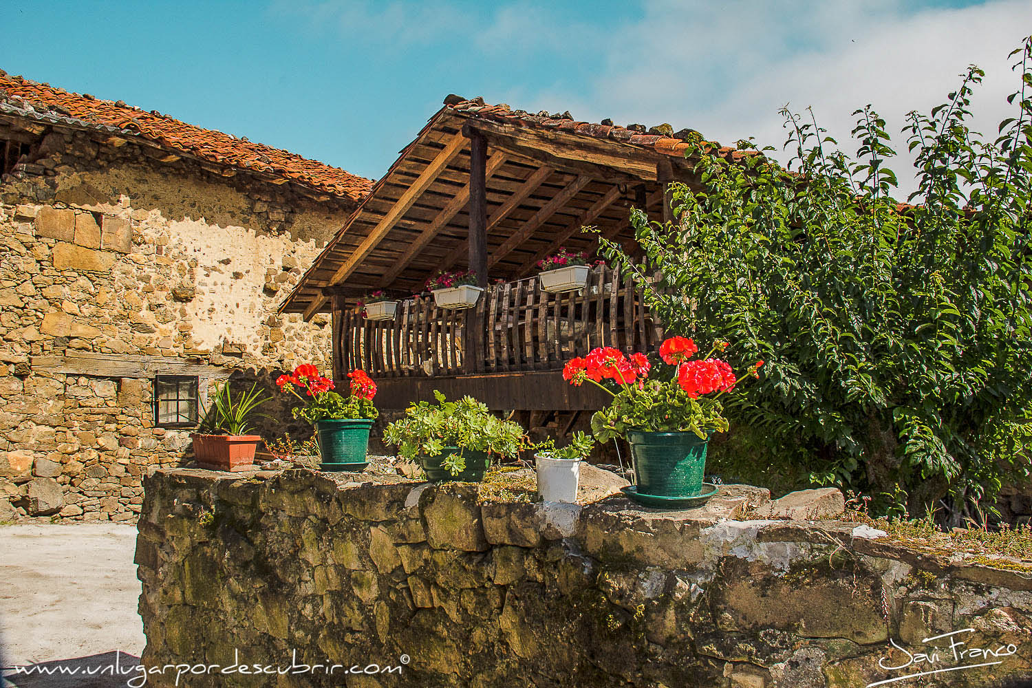 PERROZO