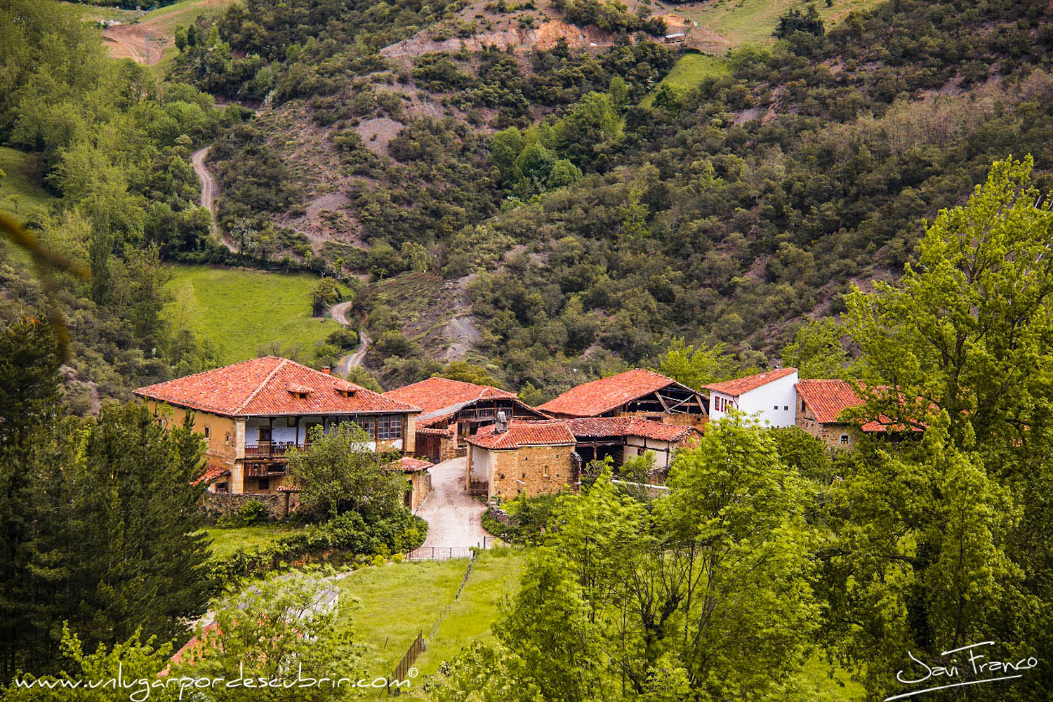 PERROZO