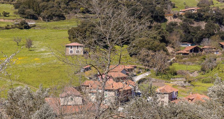 PIASCA EN CABEZON DE LIEBANA