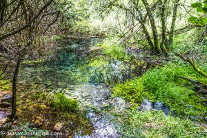 NACIMIENTO DEL RIO DEVA