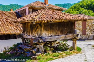 HORREO EN PIDO.