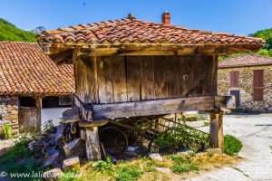 HORREO EN PIDO.