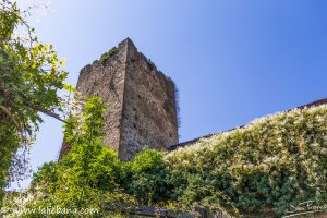 LA TORRE DE MOGROVEJO