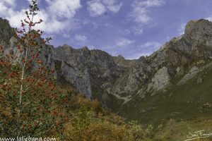 CANAL DE LAS ARREDONDAS