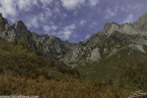 CANAL DE LAS ARREDONDAS