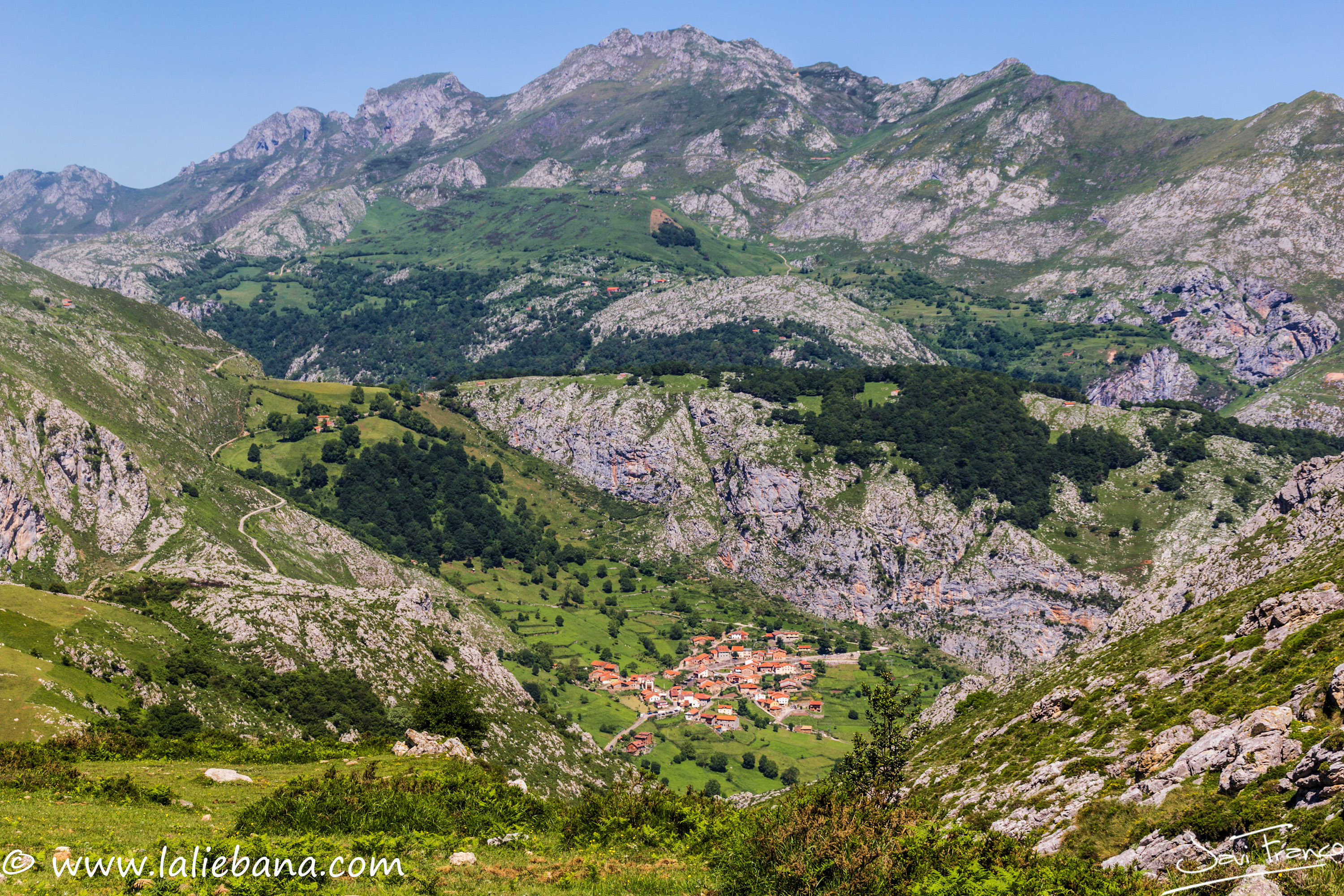 COLLAO PELEA