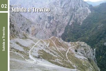 urdon tresviso