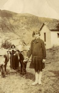 LA VENDIMIA EN LIÉBANA
