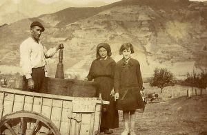 LA VENDIMIA EN LIÉBANA