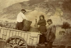 LA VENDIMIA EN LIÉBANA