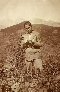 LA VENDIMIA EN LIÉBANA