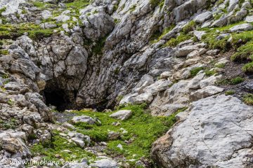 PICOS DE EUROPA