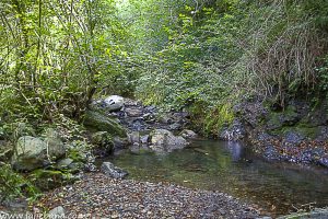 CASCADA PESAGUERO