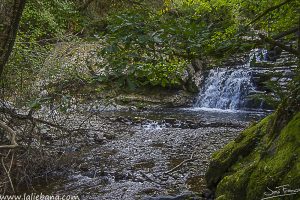 CASCADA BUYON-1-16