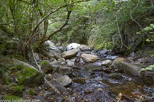 CASCADA PESAGUERO
